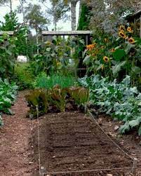 How To Lay Out A Planting Bed Vegetable Garden Design Kitchen Garden Plants Vegetable Planting Guide