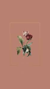 Wallpaper Phone Iphone Cute Simple Aesthetic Pretty Rose Flowers Aesthetic Iphone Wallpaper Art Wallpaper Screen Wallpaper