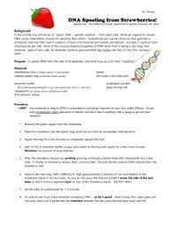 Parrott teaches how to extract dna from strawberries. Lab Strawberry Dna Extraction