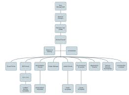 the organizational structure of a skilled nursing facility