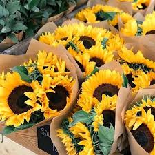 Menariknya, bunga matahari juga memiliki perilaku unik yaitu heliotropisme atau selalu. Cinta Kerajinan Bunga Matahari Facebook