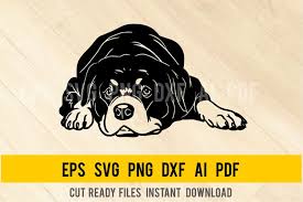 Download Rottweiler Dog Svg Breed Dogs Svg Pet Pup 1134376 Cut Files Design Bundles