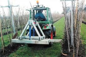 Root pruning machine type brs for root pruning of all plant types. Root Pruning Part 2