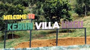Kabupaten aceh tenggara adalah salah satu kabupaten di aceh, indonesia. Wisata Aceh Tenggara Visitbandaaceh Com