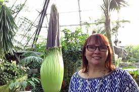 What S New In Meditation My Earth Mantra The Corpse Flower Is Getting Ready To Bloom In The Muttart Conservatory Corpse Flower Mantras Meditation