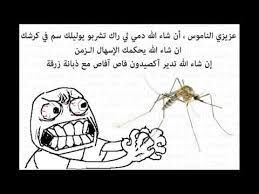Image Associee Arabic Jokes Humor Jokes