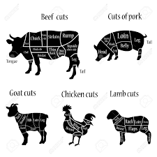 vector illustration lamb goat chicken cow and pork cuts diagramm