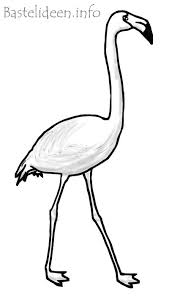 Sommerbasteln Ausmalbild Oder Malvorlage Flamingo