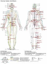 chinese meridians diagram wiring diagram