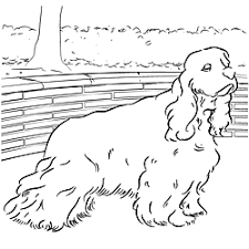 They could play games in the nursery like numbers match games and alphabet puzzles and cocker spaniel coloring page. Online Coloring Pages Of Your Favorite Dog Breed Dog Coloring Page Spaniel Art Online Coloring Pages