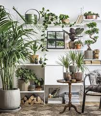 Plant Life Indoor Houseplants Boho Decor Jungalow Cacti Succulents Natural Home Decor Plants Home Decor Inspiration