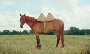 A lead is essential item to have in minecraft when you have horses and it looks like a lasso. Pin On Programming Wonders