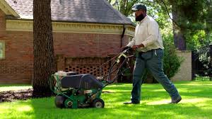 This can be done immediately after aerating, says the north dakota state university lawn and garden report. if you plan on topdressing with something other than the soil plugs themselves, daly recommends avoiding sand. What To Expect With Lawn Aeration Services Trugreen