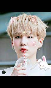 شوقا من بي تي اس sogu from bts bts suga suga bts chibi