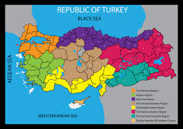 For centuries, it has been the crossroad between west and east and there are lots of influences in turkish cuisine from neighboring countries, and equally, turkish cuisine and cooking traditions have spread across eastern europe and central asia as well. Turkey Country Stock Illustrations 27 175 Turkey Country Stock Illustrations Vectors Clipart Dreamstime