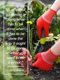 Flowering Wisdom Gardening Quotes From Eagleson Landscape Co Eagleson Landscape Co Garden Quotes Gardening Quotes Inspirational Flower Garden Design