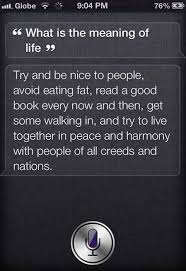 Sidi Tells You The Meaning Of Life Meaning Of Life Told You So Meant To Be