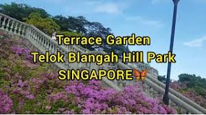The area is well known for the nature spots at mount faber and labrador park. Terrace Garden Telok Blangah Hill Park In Singapore Exploring The Amazing View With Friends Youtube