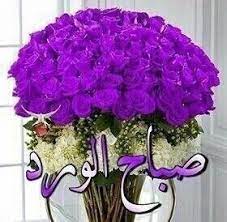 صباح البنفسج hanukkah wreath wreaths flowers