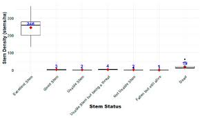 Image result for Scolopia stolzii