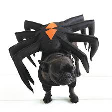 Spider Dog Pet Costume Pet Halloween Costumes Halloween Animals Dog Halloween Costumes