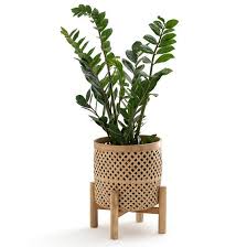 Cache Pot Sur Pied En Bambou H35 Cm Bambu Naturel La Redoute Interieurs La Redoute Deco Bambou Cache Pot Deco
