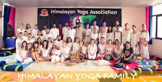 A registered yoga teacher (ryt) credential is earned by yoga teachers whose training and teaching experience meet yoga alliance standards. 200 Hour Yoga Teacher Training In Germany Himalayan Yoga Association Yoga Ashram