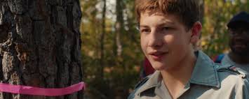 Picture of Tye Sheridan in Joe