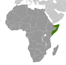 We did not find results for: Wetter Klima Somalia Klimatabelle Temperaturen Und Beste Reisezeit