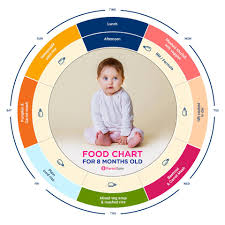 Baby Food Indian Food Chart For 8 Months Old Baby