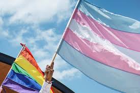 Entra en vigor Ley Agnes en Puebla con la que personas trans ya pueden ser  reconocidas por su identidad de género