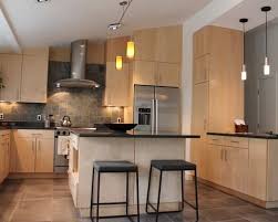 1 312 Contemporary Birch Cabinet Kitchen Design Ideas Remodel Pictures Houzz Contemporary Kitchen Modern Kitchen New Kitchen Cabinets