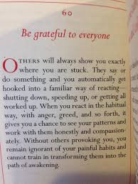  Pin By Rhonda Stoner On Life Pema Chodron Quotes Inspirational Words Inspirational Quotes
