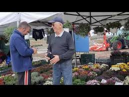 Târgul Apulum Agraria 2022 | Ighiu - YouTube