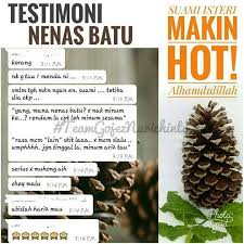 Antara khasiat nenas batu : Pemborong Nenas Batu Untuk Kesihatan Wanita Posts Facebook