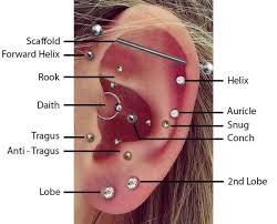 Top Ear Piercings Placements Diagram Bmg Body Jewellery
