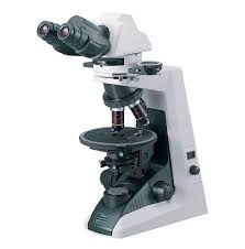 Image result for Polarized Microscopy