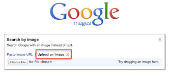 What Is Reverse Image Search On Google And How You May Use It Free image hosting and sharing service, upload pictures, photo host. what is reverse image search on google