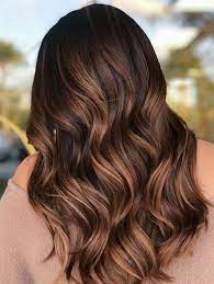 Best Brunette Balayage Hair Color Shades To Follow In Year 2019 Hair Color Shades Brunette Hair Color Balayage Hair