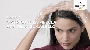 Schwarzkopf Palette Intensive Creme Color