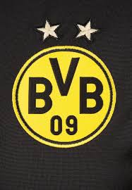 Puma Trainingsjacke Borussia Dortmund Stadium Herren Gelb Schwarz Grosse Xxxl In 2020 Borussia Dortmund Bvb Dortmund Dortmund
