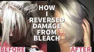 It can take a lot of time and a plethora of hydrating products just to return your hair to its natural, healthy state. How To Grow Out Breakage From Bleach Hair Routine For Blondes Youtube