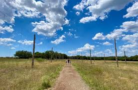 Jester King Brewery Pizza Beer Goats 038 Plenty Of Space To Roam In 2020 Jester King Brewery Roam