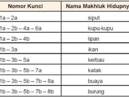 Ciri ciri tumbuhan berbiji tertutup. Cara Membuat Kunci Determinasi Utakatikotak Com