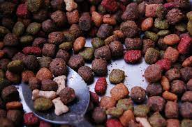 4 Dog Food Brands To Avoid Do You Know What Food Is Really Harmful For Your Dog Probably The Stuff You R Organic Dog Food Foods Bad For Dogs Dog Food Recipes