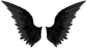 Black And White Angel Wings Png Pin By Dixie Rose On Art Journal Angel Wings Png Black Angel Wings Wings Png