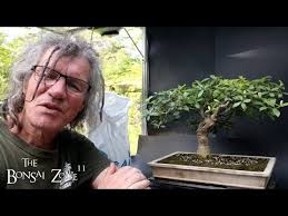 Image result for Burttdavya