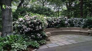 As a result, it acts as an effective privacy screen that reduces wind. Mountain Laurel Shade Hedge Native Landscaping Kalmia Latifolia Shade Garden