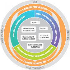If you know of a correction or addition to the information provided here, please email contactus@cancer. Apply For A Research Grant World Cancer Research Fund International