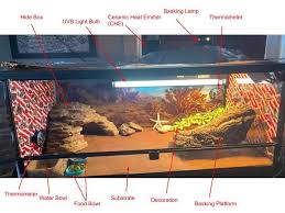 If you have a waste small wooden covered in your house then take it and start working on it. Best Bearded Dragon Cage Reviews And Buyer S Guide